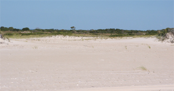 Assateague Island