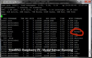 Raspberry Pi under FreeBSD running mysqld Server